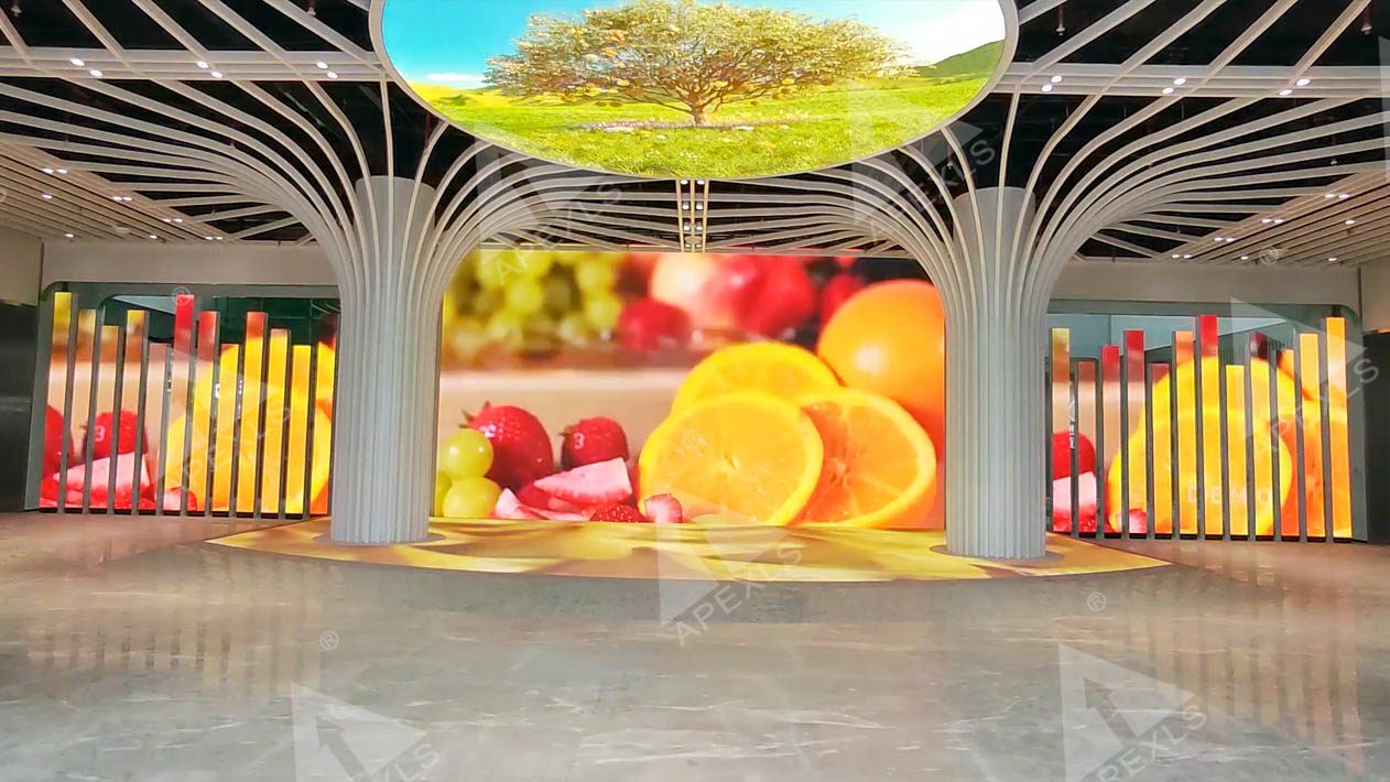 Guangxi Pingxiang Fruit Museum LED Creative Display